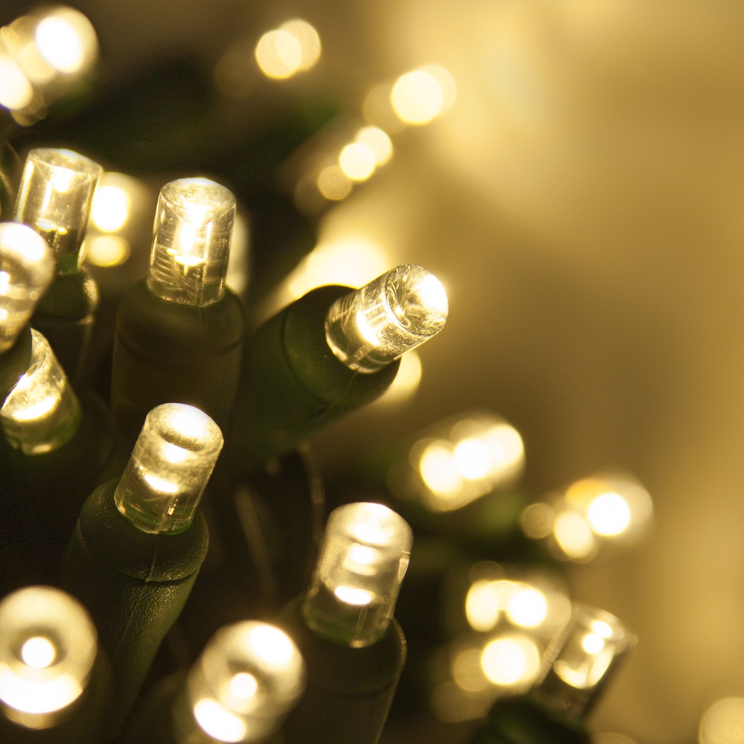 Warm white 5mm wide-angle LED mini Christmas lights